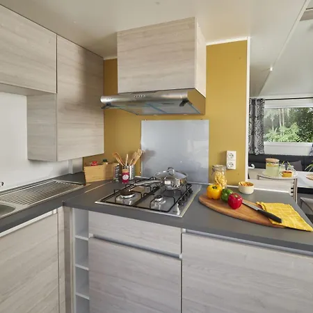 Le Moulin De David -gaugeac Monpazier 24540 - -mobil-home 3 Et 2 * Gaugeac
